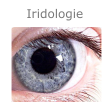l-iridologie